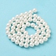 Chapelets de perles en coquille(X-BSHE-L026-03-6mm)-4
