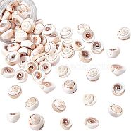 Natural Shiva Eye Shell Beads, PapayaWhip, 17~20x6~13mm, Hole: 1mm, about 75~80pcs/box(SSHEL-NB0001-16)