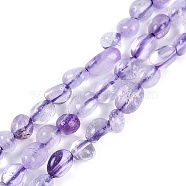 Natural Amethyst Beads Strands, Nuggets, Tumbled Stone, 4~6x7~10x4~6mm, Hole: 1mm, 15.75''(40cm)(G-P497-01B-21)