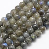Natural Labradorite Beads Strands, Grade A+, Round, 8mm, Hole: 1mm, about 49pcs/strand, 15.3 inch(39cm)(G-P322-31-8mm)