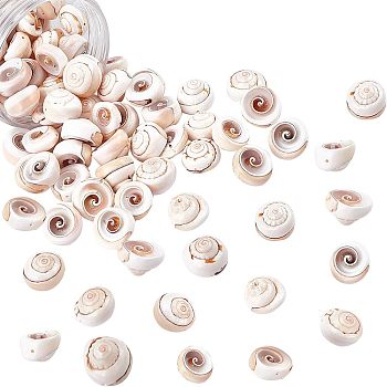 Natural Shiva Eye Shell Beads, PapayaWhip, 17~20x6~13mm, Hole: 1mm, about 75~80pcs/box