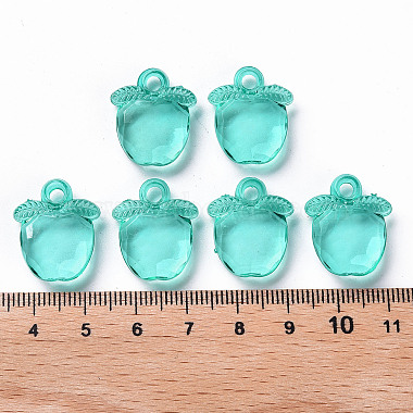 Transparent Acrylic Pendants(TACR-S154-28B-68)-4