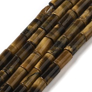 Natural Tiger Eye Beads Strands, Column, 8x4mm, Hole: 0.7mm, about 48pcs/strand, 15.35~15.43''(39~39.2cm)(G-B091-A14-01)