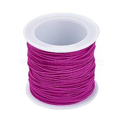 Elastic Cord, Fuchsia, 1mm, about 22.96 yards(21m)/roll(RB1.0mm-14)