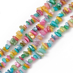 Dyed Natural Freshwater Shell Beads Strands, Chip, Colorful, 5~9x3~6x1~4mm, Hole: 0.9mm, about 273~292pcs/strand, 11.42~11.61 inch(29~29.5cm)(BSHE-G033-05)