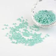 DIY Craft Beads 6/0 Ceylon Round Glass Seed Beads, Aqua, Size: about 4mm in diameter, hole:1.5mm, about 495pcs/50g(X-SEED-A011-4mm-154)