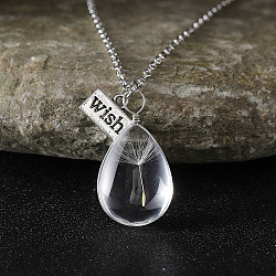 Clear Glass with Dandelion Inside Pendant Necklaces, Rectangle Wish Zinc Alloy Jewelry for Women, Platinum, Teardrop, 17.72 inch(45cm)(FS-WG96F40-08)