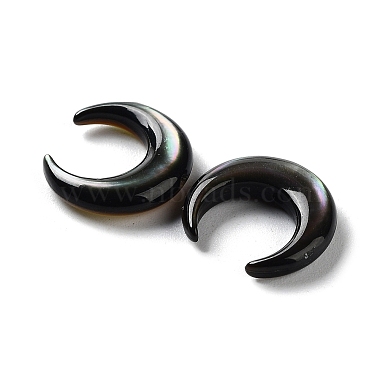 Natural Black Lip Shell Beads(SHEL-M020-04A)-2