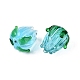 Handmade Lampwork Beads(LAMP-N042-02D)-2