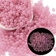 Luminous Glow in the Dark Transparent Glass Round Beads, No Hole/Undrilled, Flamingo, 5mm, about 2800Pcs/bag(GLAA-F124-B08)