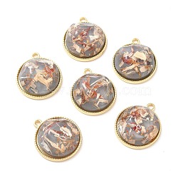 Resin Shell Pendants, with Alloy Findings, Half Round, Dark Gray, 25.5x22x9mm, Hole: 2mm(RESI-D054-02LG-02)