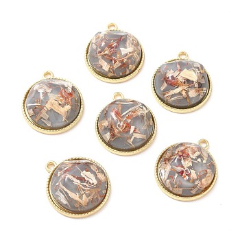Resin Shell Pendants, with Alloy Findings, Half Round, Dark Gray, 25.5x22x9mm, Hole: 2mm