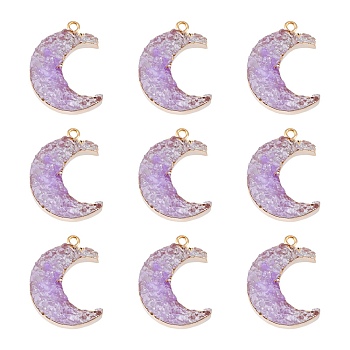 Opaque Resin Pendants, with Light Gold Plated Alloy Findings, Imitation Druzy Quartz, Moon, Purple, 26x19x7.5mm, Hole: 2mm