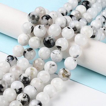 Natural Rainbow Moonstone Beads Strands, Round, 8mm, Hole: 0.8mm, about 47pcs/strand, 15.39''(39.1cm)