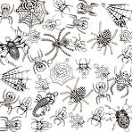 Tibetan Style Alloy Pendants, Mixed Spider Shape, Antique Silver, 17~43x14~47x2~4.5mm, Hole: 1.5~3.5mm(PALLOY-WH0091-25AS)