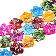 Natural Freshwater Shell Beads Strands, Dyed, AB Color, Flower, Colorful, 23.5~25x24~26x2.5~3mm, Hole: 0.6mm, about 16pcs/strand, 14.96 inch(38cm)(SHEL-N026-221B)