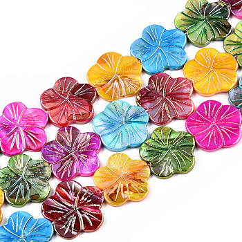 Natural Freshwater Shell Beads Strands, Dyed, AB Color, Flower, Colorful, 23.5~25x24~26x2.5~3mm, Hole: 0.6mm, about 16pcs/strand, 14.96 inch(38cm)