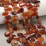 Natural Red Agate Beads Strands, Dyed & Heated, Teardrop, Top Drilled, with Seed Beads, 10~28x8~12x4~8mm, Hole: 0.9mm, about 42~44pcs/strand, 15.16''~15.55''(38.5~39.5cm)(G-P604-A14-01)