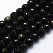 Natural Golden Sheen Obsidian Beads Strands, Round, 10mm, Hole: 1mm, about 37pcs/strand,  14.76 inch(37.5cm)(G-I199-14-10mm)