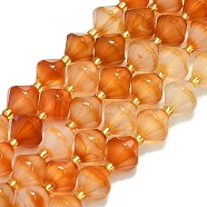 Natural Carnelian  Beads Strands, Faceted, Bicone, 10~10.5x10~10.5mm, Hole: 1mm, about 30~32pcs/strand, 15.16~15.35''(38.5~39cm)(G-I376-C10-01)