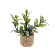 Plastic Potted Plant Mini Model, with Magnet, Micro Landscape Dollhouse Accessories, Pretending Prop Decorations, Green, 70x70mm(PW-WGD7CCF-05)