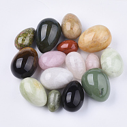 Natural & Synthetic Mixed Gemstone Egg Stone, Pocket Palm Stone for Anxiety Relief Meditation Easter Decor, 30~52x20~36mm(G-S349-01)