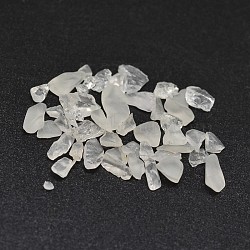 Natural Quartz Crystal Chip Beads, No Hole/Undrilled, 2~8x2~4mm, about 340pcs/20g(X-G-O103-17)