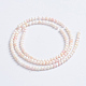 Natural Pink Shell Beads Strands(SSHEL-L016-18B)-3
