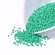 12/0 Grade A Baking Paint Glass Seed Spacer Beads(X-SEED-Q009-FJX10)-1