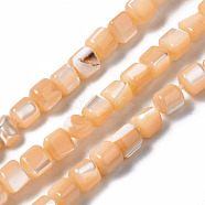 Natural Trochid Shell/Trochus Shell Bead Strands, Dyed, Column, Sandy Brown, 3.5x3.5mm, Hole: 1mm, about 111~117pcs/strand, 15.35 inch~15.94 inch(39~40.5cm)(SSHEL-N034-77-C03)