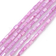 Natural Freshwater Shell Dyed Beads Strands, Column, Plum, 4.8x3mm, Hole: 0.8mm, about 78pcs/strand, 14.96''(38cm)(SHEL-M018-12-08)