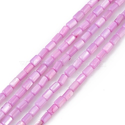 Natural Freshwater Shell Dyed Beads Strands, Column, Plum, 4.8x3mm, Hole: 0.8mm, about 78pcs/strand, 14.96''(38cm)(SHEL-M018-12-08)