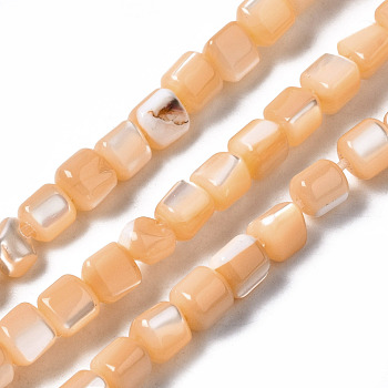 Natural Trochid Shell/Trochus Shell Bead Strands, Dyed, Column, Sandy Brown, 3.5x3.5mm, Hole: 1mm, about 111~117pcs/strand, 15.35 inch~15.94 inch(39~40.5cm)