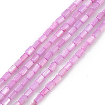 Natural Freshwater Shell Dyed Beads Strands, Column, Plum, 4.8x3mm, Hole: 0.8mm, about 78pcs/strand, 14.96''(38cm)