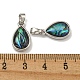 Rack Plating Brass Pave Natural Paua Shell Pendants(KK-U025-08P-01)-3