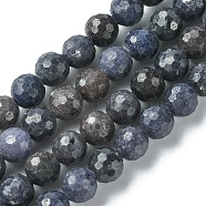 Natural Sapphire Beads Strands, Faceted, Round, 6mm, Hole: 1mm, about 67~68pcs/strand, 15.28~15.43 inch(38.8~39.2cm)(G-F748-M01-05)