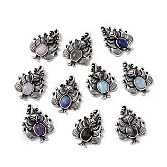 Natural Mixed Gemstone Pendants, Nine-Tailed Fox Charms, with Antique Silver Color Brass Findings, 30x23x6mm, Hole: 4x2mm(KK-A173-01AS)