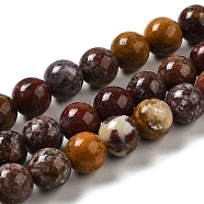 Natural Ocean Jasper Beads Strands, Round, 8~8.5mm, Hole: 1.3mm, about 47pcs/strand, 15.16''(38.5cm)(G-H298-A13-03)