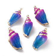 Conch Shell Pendants, with Golden Tone Brass Covered Edge, Spray Painted, Mauve, 36~47x17~21x13~18mm, Hole: 1.8mm(SSHEL-B002-06D)