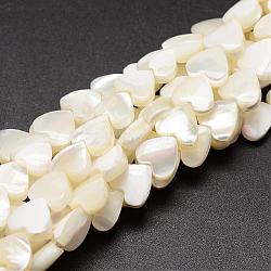 Natural Trochid Shell/Trochus Shell Beads Strands, Heart, Creamy White, 8x8x3~4mm, Hole: 1mm, about 50~53pcs/strand, 15.5 inch(SSHEL-K012-04)