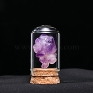 Natural Raw Amethyst Display Decoration, Reiki Energy Stone Cloche Bell Jar Ornaments, Arch, 30x55mm(G-PW0007-070F)