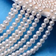 Natural Cultured Freshwater Pearl Beads Strands, Round, Creamy White, 5~5.5mm, Hole: 0.8mm, about 77~80pcs/strand, 15.7 inch(PEAR-E009-5-5.5mm-A-01)