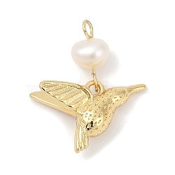 Natural Cultured Freshwater Pearl & Brass Pendants, Bird Charms, Rack Plating, Cadmium Free & Lead Free, Long-Lasting Plated, Real 18K Gold Plated, Real 18K Gold Plated, 23x18x7.5mm, Hole: 2mm(KK-U062-03G)