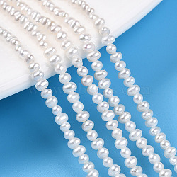 Natural Cultured Freshwater Pearl Beads Strands, Potato, Creamy White, 2~2.5x2~3x2~2.5mm, Hole: 0.4mm, about 168~175pcs/strand, 14.80''(37.6cm)(PEAR-N016-02A)