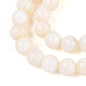 Natural Freshwater Shell Beads Strands(SHEL-N038-05)-3
