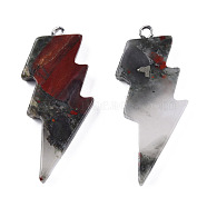 Natural Bloodstone Pendants, Lightning Bolt Charm, with Stainless Steel Color Tone 304 Stainless Steel Loops, 40~44.5x17~20x4.5~6mm, Hole: 2mm(G-N332-53-A08)