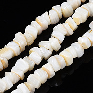Natural Freshwater Shell Beads Strands, Nuggets Chips, Seashell Color, 5~8x5~7x2~5mm, Hole: 0.5mm, about 50~53pcs/strand, 7.28 inch(18.5cm)(X-SHEL-S278-042)