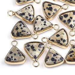 Natural Dalmatian Jasper Pendants, with Brass Findings, Triangle, Golden, 16~16.5x12.5x5mm, Hole: 2mm(X-G-S344-10B)