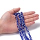 Handmade Lampwork Beads(DT250J-3)-5