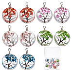 10Pcs 5 Set Dried Flower Inside Glass Pendant, with Iron Findings, Flat Round with Tree of Life Pattern, Mixed Color, 29~30x20x15mm, Hole: 4.7~5mm(GLAA-SC0001-64)